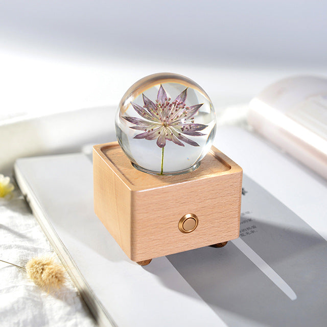 Dandelion crystal ball nightlight Music Box