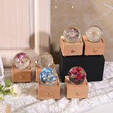 Dandelion crystal ball nightlight Music Box