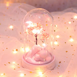 Cherry Blossom Star Night Light