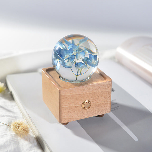 Dandelion crystal ball nightlight Music Box