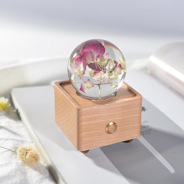 Dandelion crystal ball nightlight Music Box