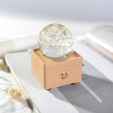 Dandelion crystal ball nightlight Music Box