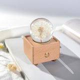 Dandelion crystal ball nightlight Music Box