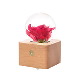 Dandelion crystal ball nightlight Music Box