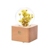 Dandelion crystal ball nightlight Music Box