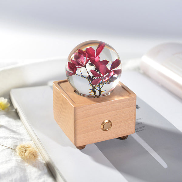 Dandelion crystal ball nightlight Music Box