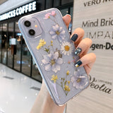 Real Dried Flower Mobile Phone Case