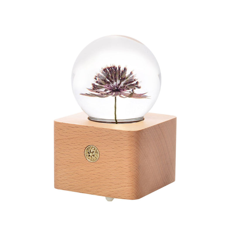 Dandelion crystal ball nightlight Music Box