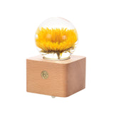 Dandelion crystal ball nightlight Music Box