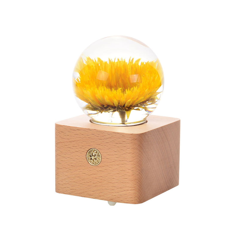 Dandelion crystal ball nightlight Music Box